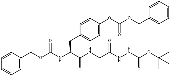 CasImg