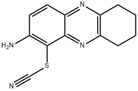 CasImg