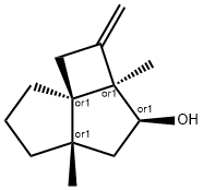 CasImg