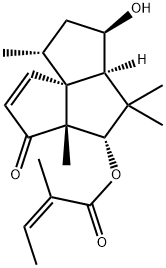 CasImg