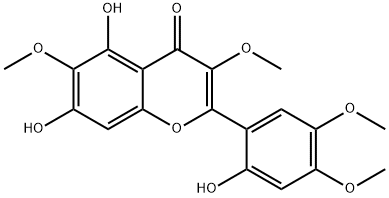 CasImg