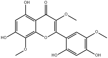 CasImg