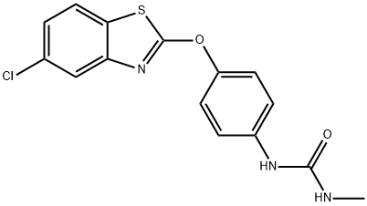 CasImg
