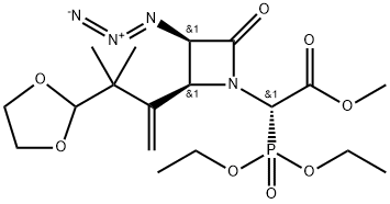 CasImg
