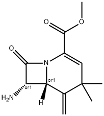 CasImg
