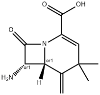 CasImg