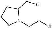 CasImg