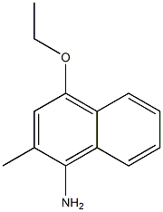 CasImg
