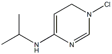 CasImg