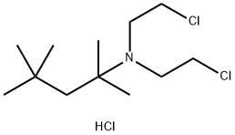 CasImg
