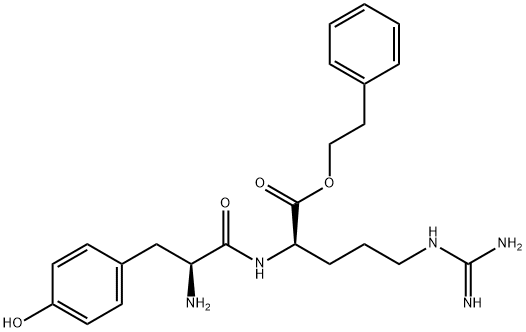 CasImg