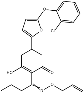 CasImg