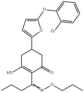 CasImg