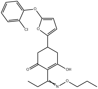 CasImg