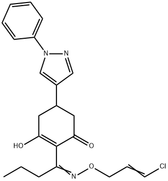 CasImg