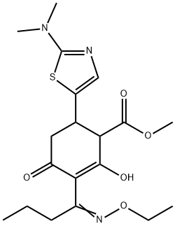 CasImg