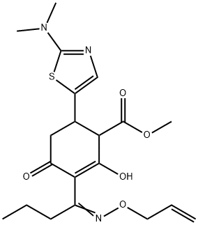 CasImg
