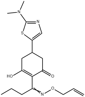 CasImg