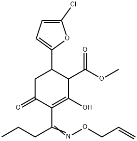 CasImg