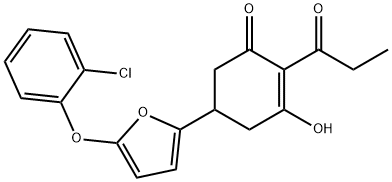 CasImg
