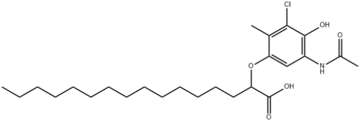 CasImg