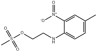 CasImg