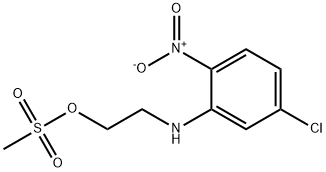 CasImg