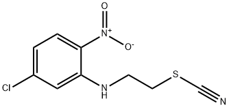 CasImg