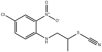 CasImg