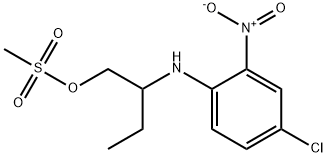 CasImg