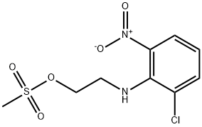 CasImg