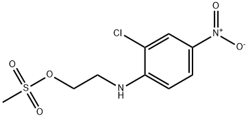 CasImg