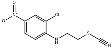 CasImg