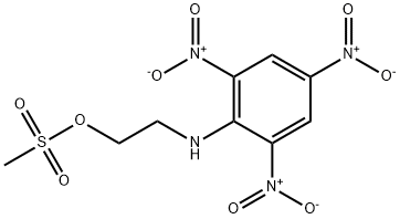 CasImg