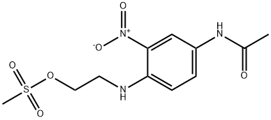 CasImg