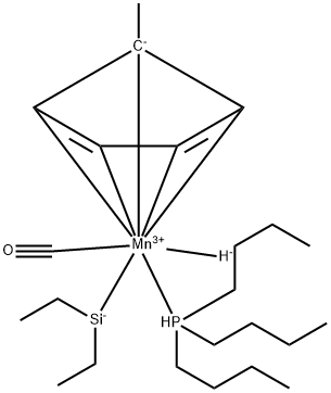 CasImg