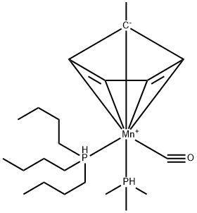 CasImg