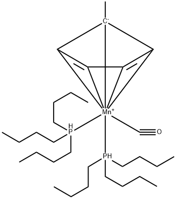CasImg