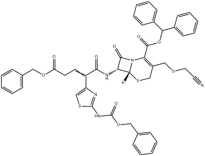 CasImg