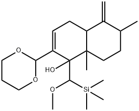 CasImg