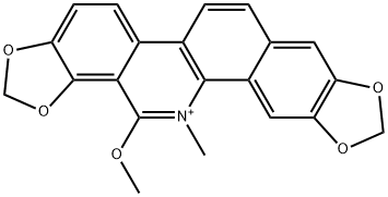 CasImg