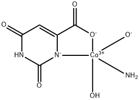 CasImg