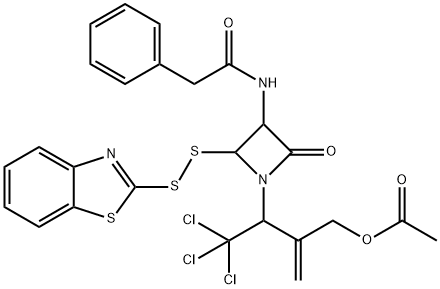 CasImg