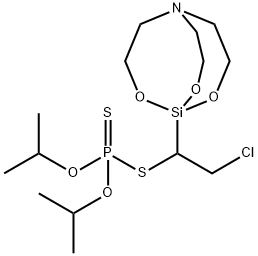 CasImg