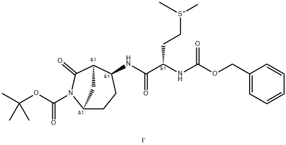 CasImg