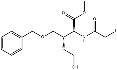 CasImg