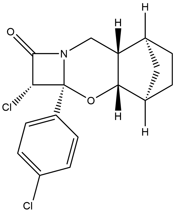 CasImg
