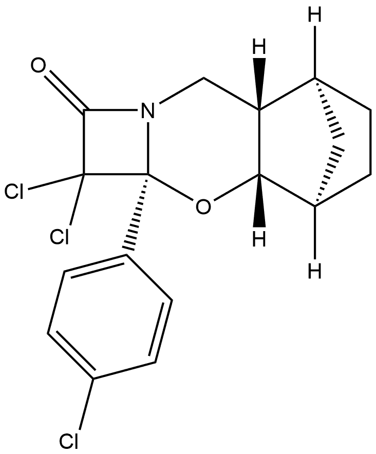 CasImg