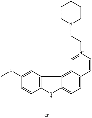 CasImg