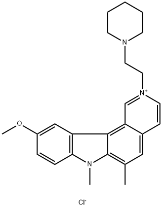 CasImg